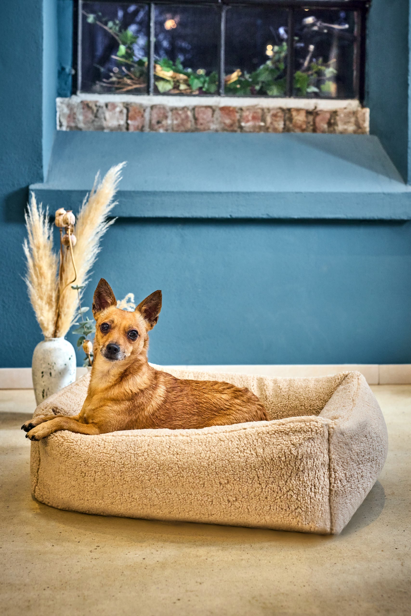 CLASSIC HUNDEBETT - TEDDY CREME