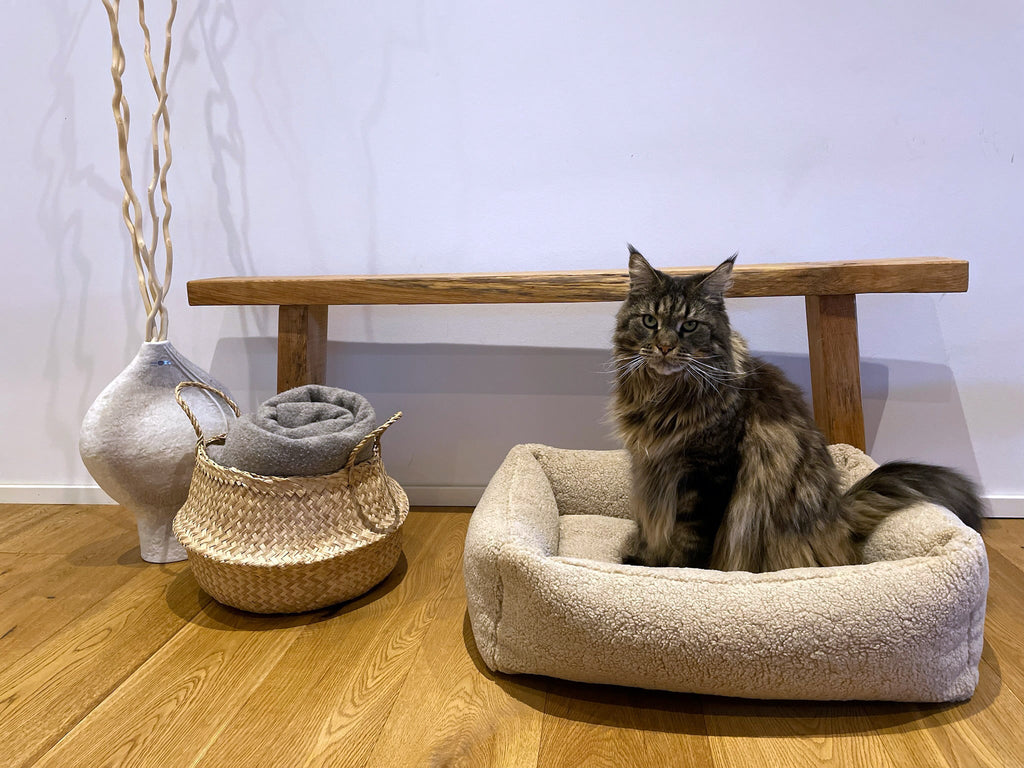 CLASSIC HUNDEBETT - TEDDY CREME