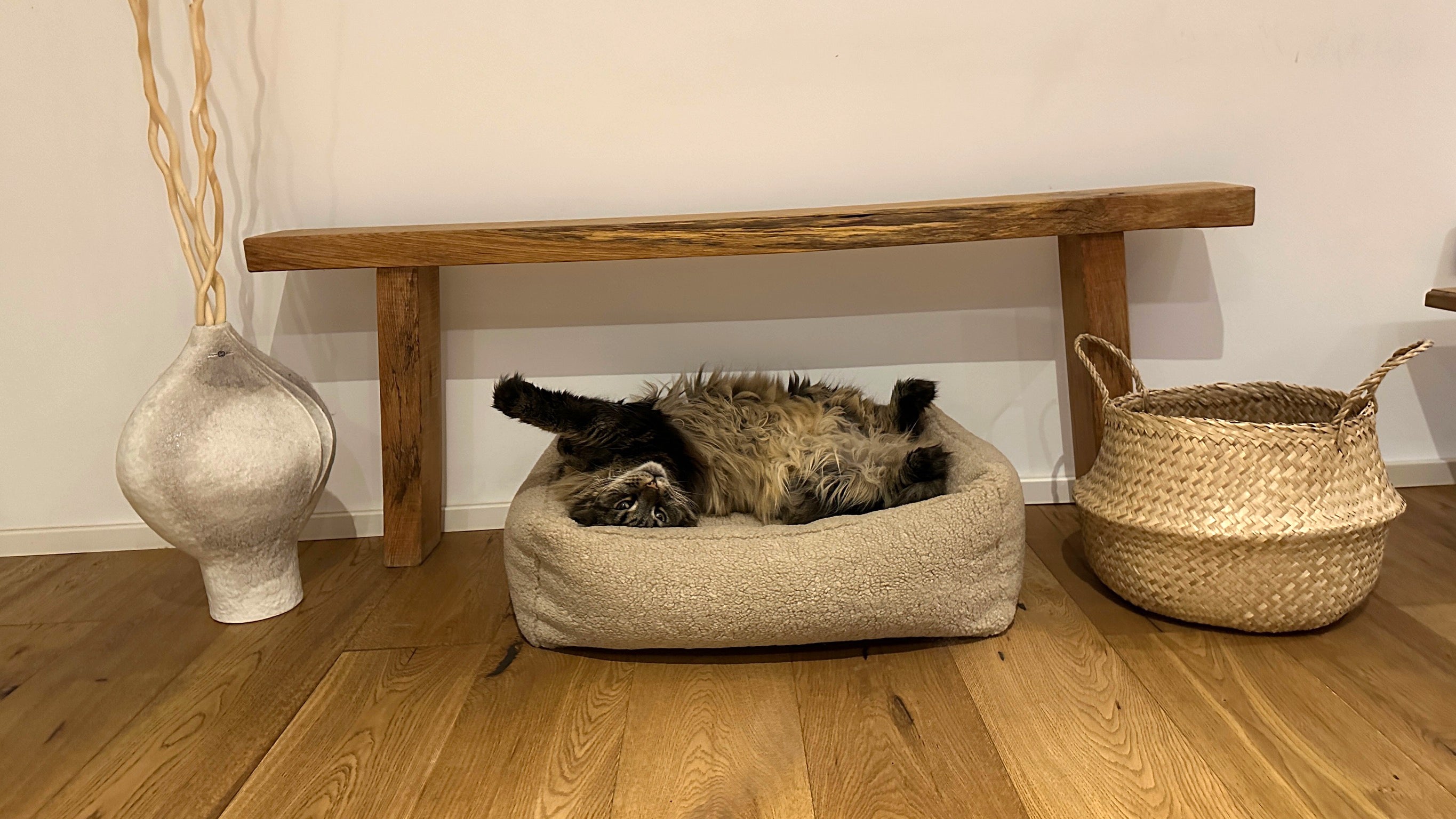 CLASSIC HUNDEBETT - TEDDY CREME