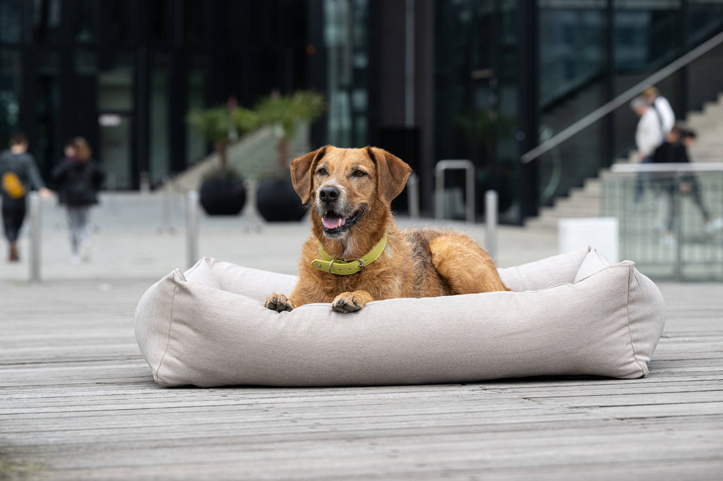 OUTDOOR ORTHO HUNDEBETT - SMOOTH LINO