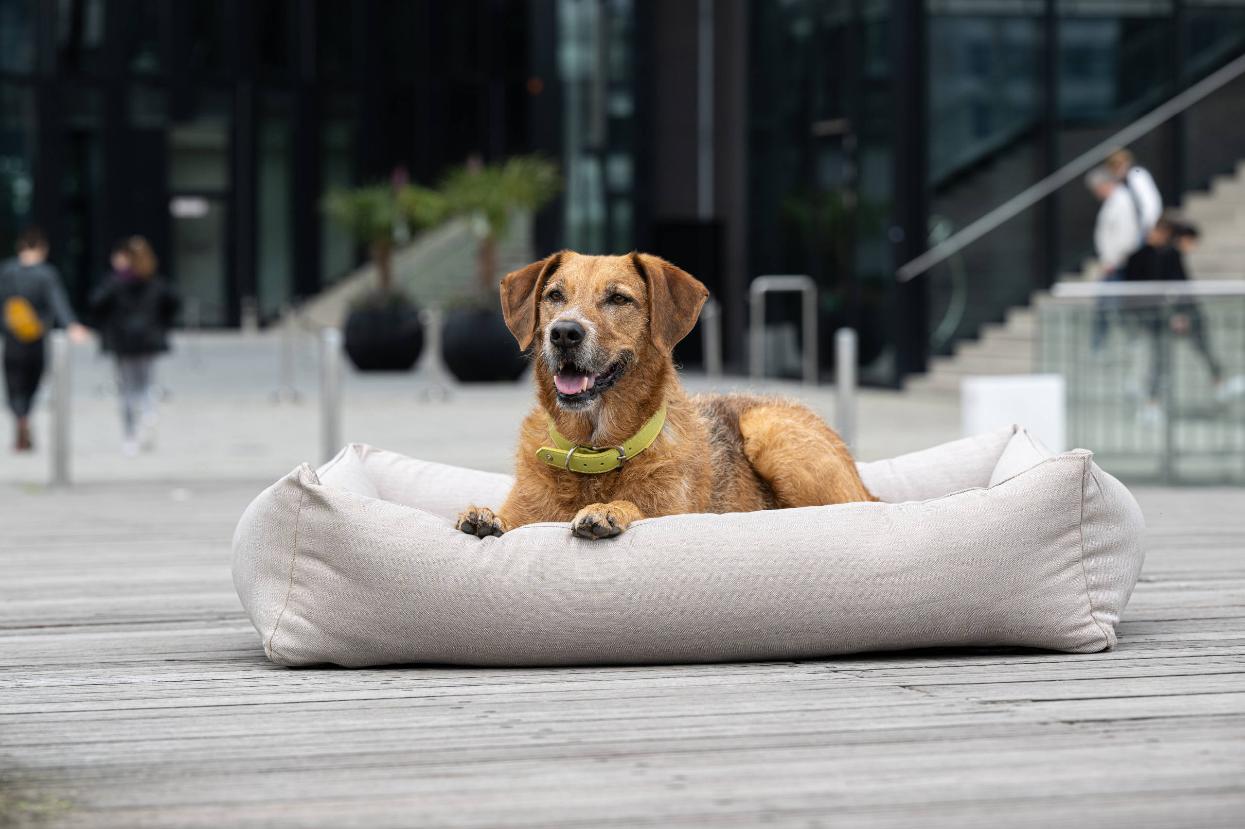 OUTDOOR ORTHO HUNDEBETT - SMOOTH LINO