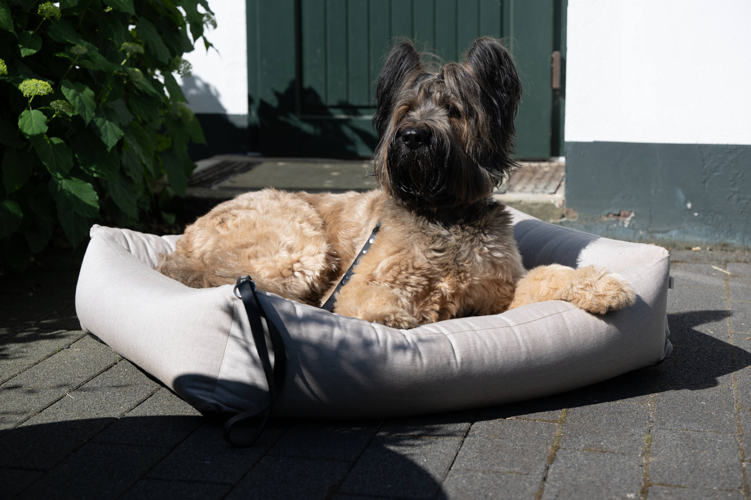 OUTDOOR ORTHO HUNDEBETT - SMOOTH LINO