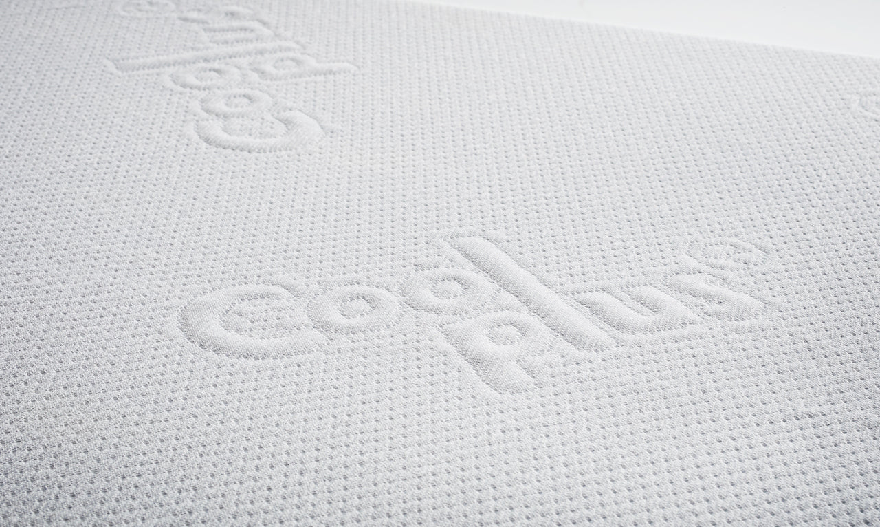 OUTDOOR ORTHO HUNDEBETT - SMOOTH LINO