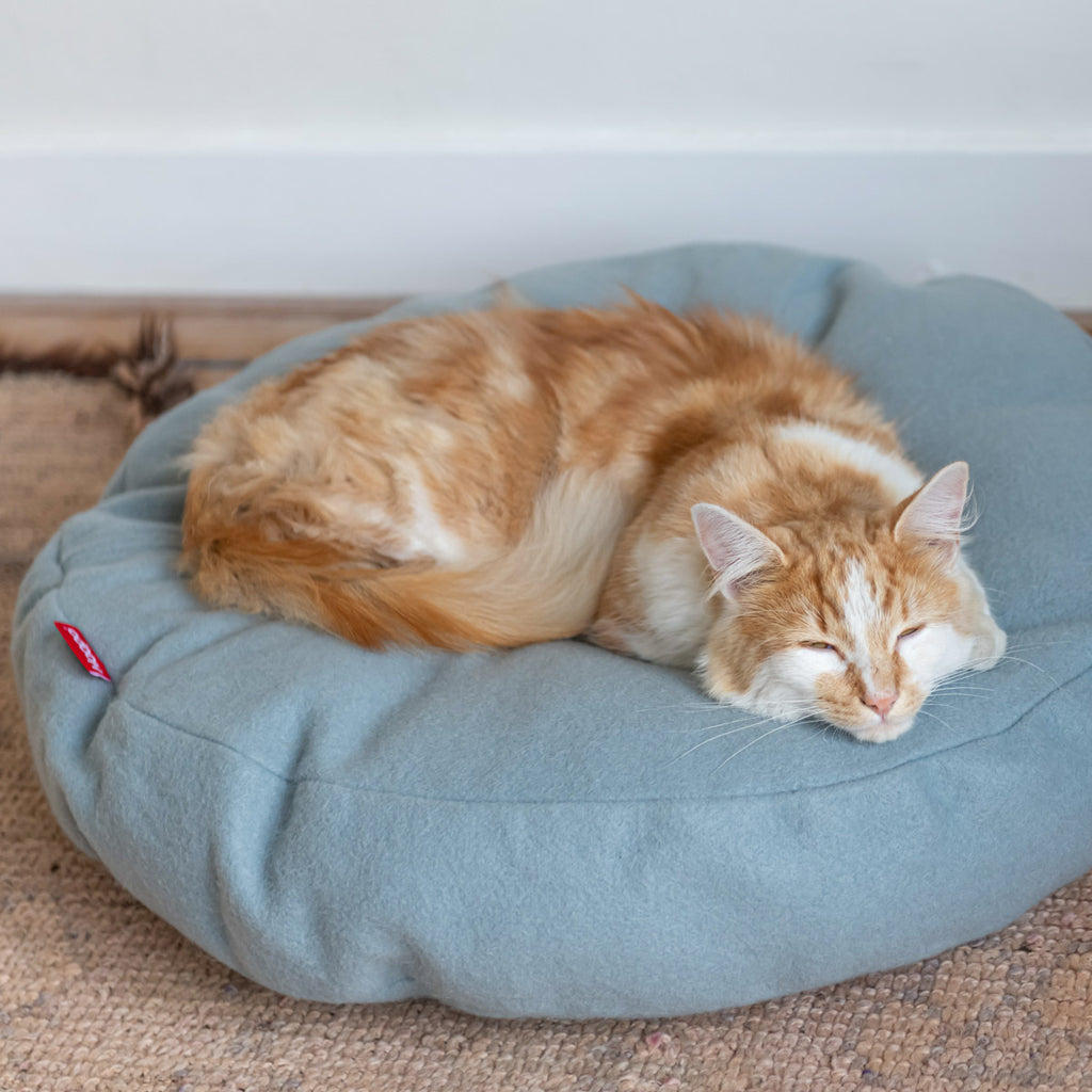 KATZEN SCHLAFDONUT (HELLBLAU)