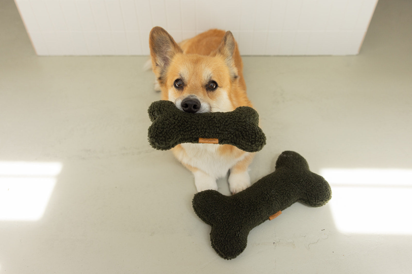 HUNDESPIELZEUG KNOCHEN (OLIVE)