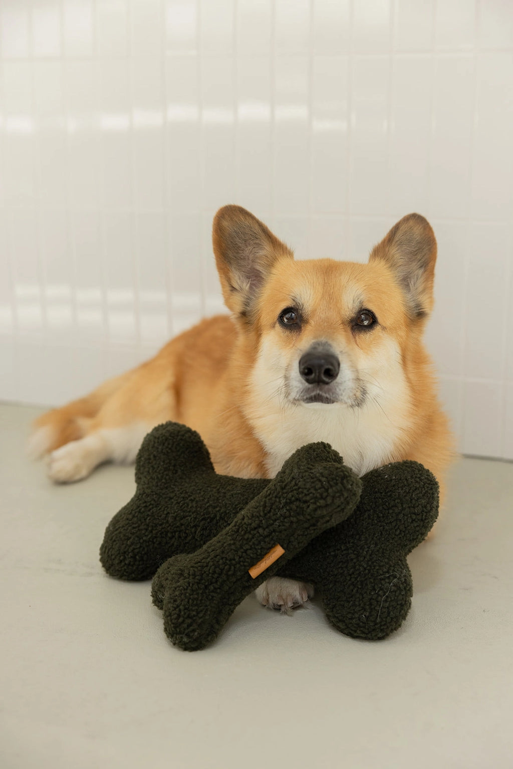 HUNDESPIELZEUG KNOCHEN (OLIVE)