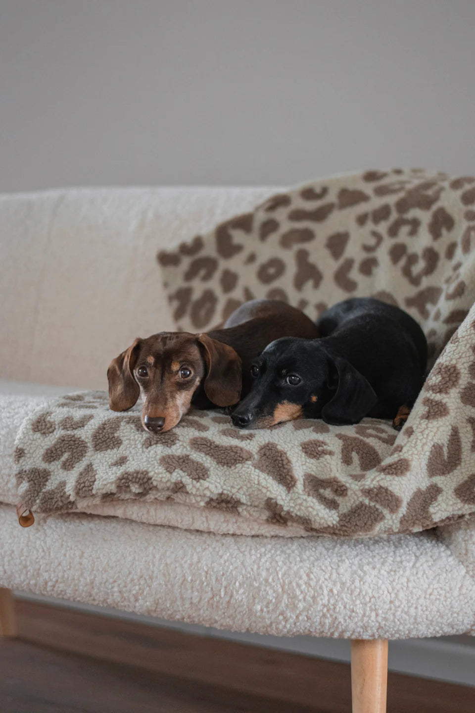 HUNDEDECKE NUBE (LEO BEIGE/BRAUN)