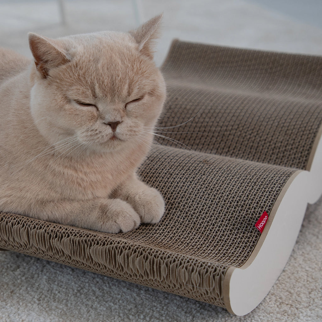 KATZEN KRATZBOARD - SCHNURRBART