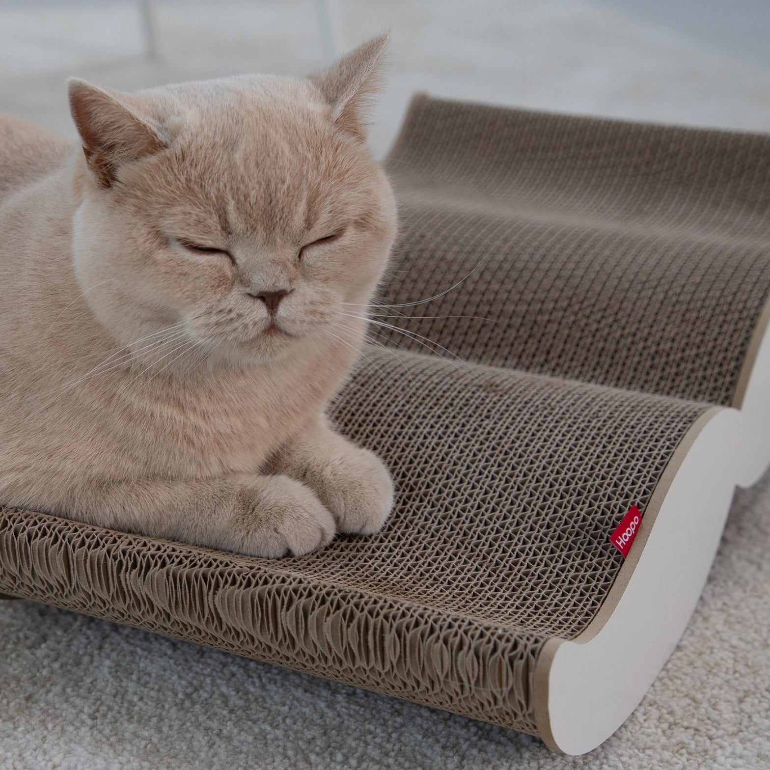 KATZEN KRATZBOARD - SCHNURRBART