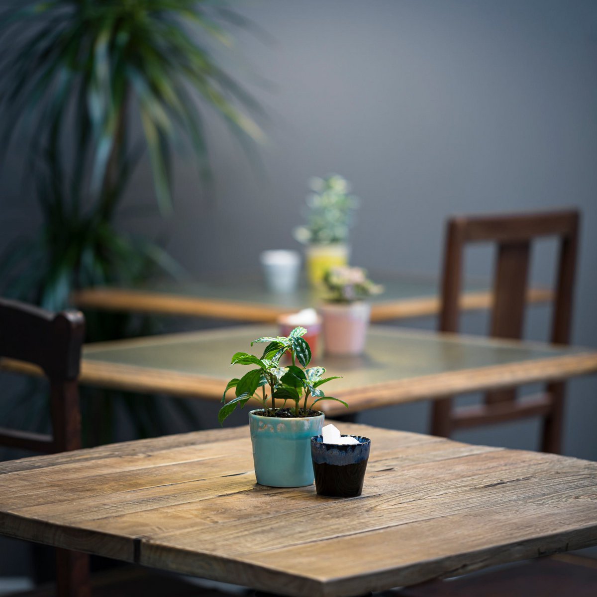 GRESPRESSO ESPRESSOTASSE (DENIM) - 6 Stk.