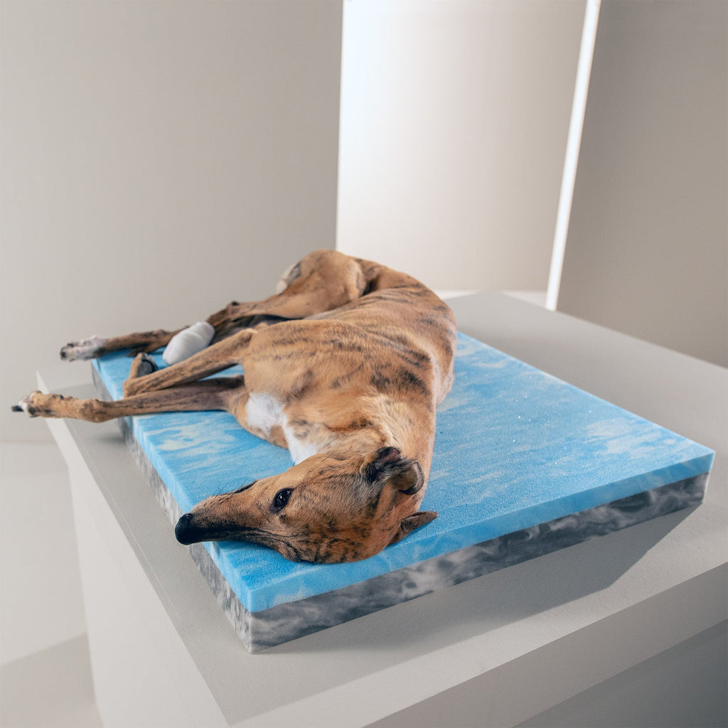 OUTDOOR ORTHO HUNDEBETT - SMOOTH LINO