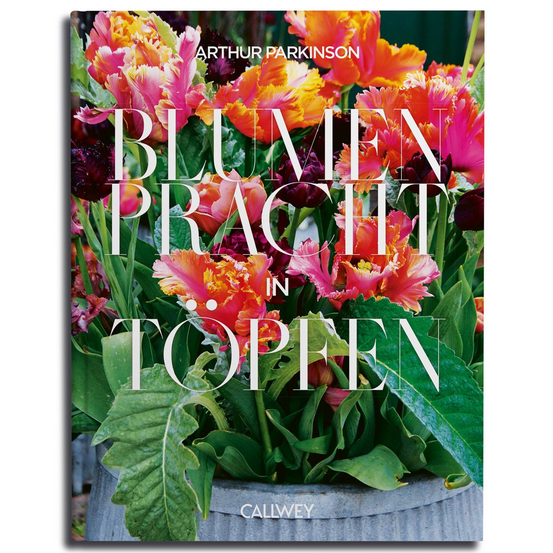 BUCH | BLUMENPRACHT IN TÖPFEN