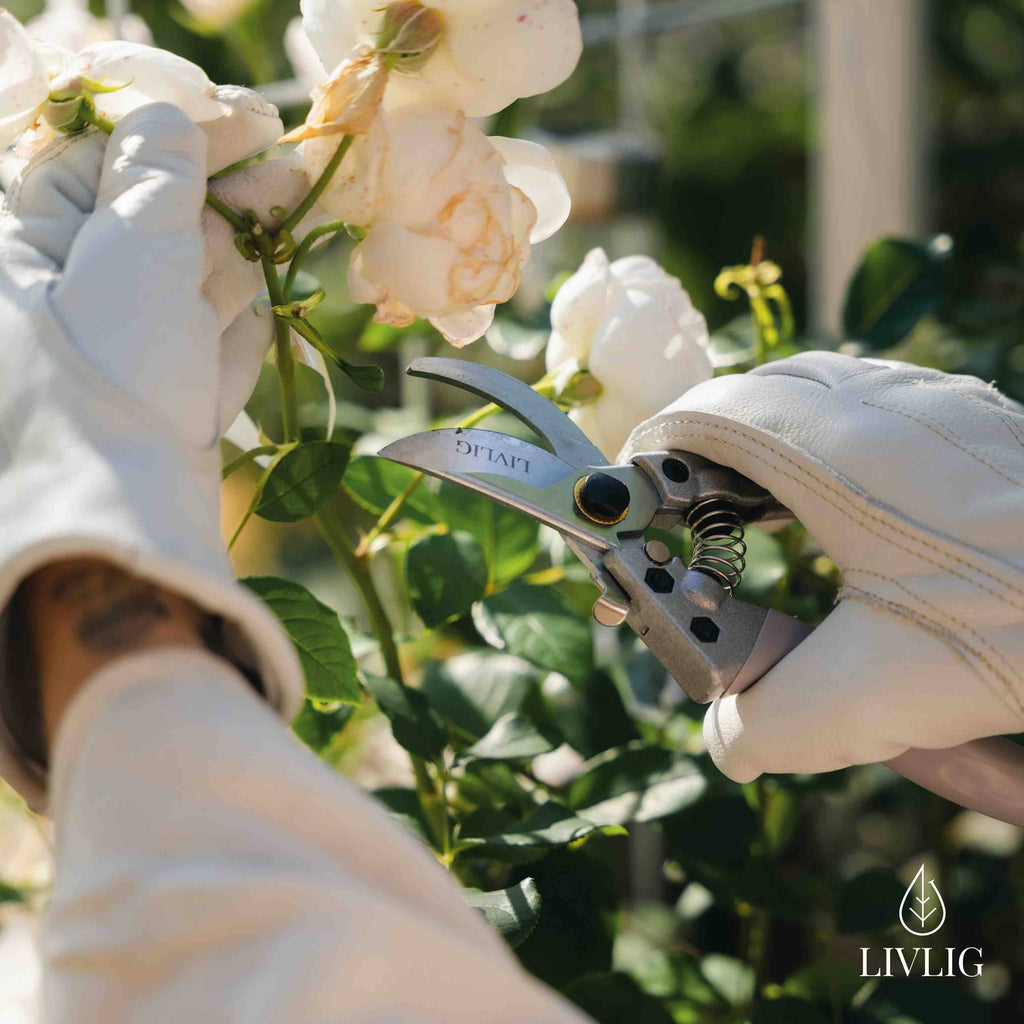 LIVLIG GARTENHANDSCHUHE AUS LEDER