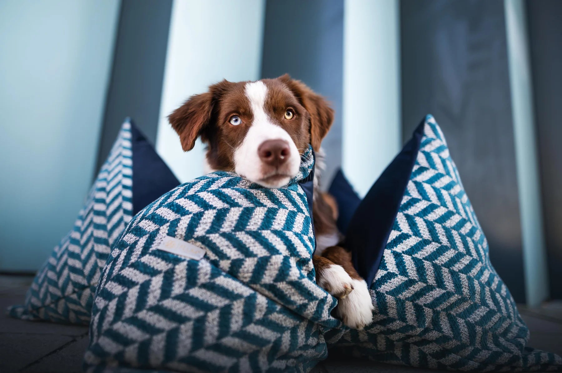 FLUM PEPPFERMINT TWIST HANDGEFERTIGTES HUNDEKISSEN