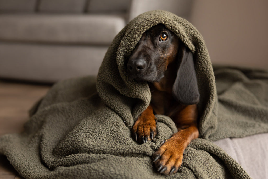 OVERSIZE HUNDEDECKE (OLIVE)