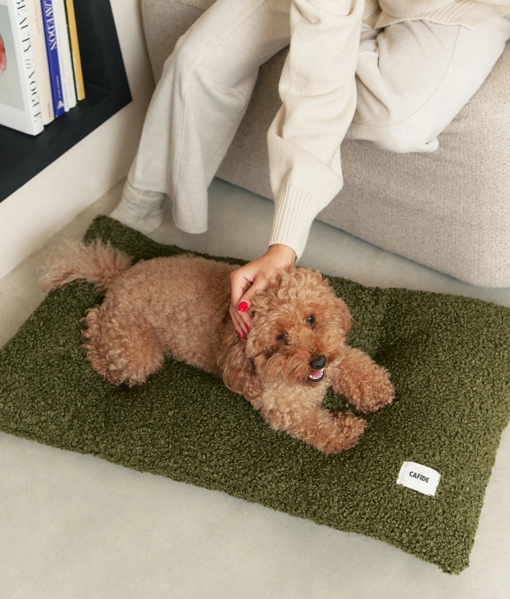 BELA HUNDEKISSEN MIT TEDDYFELL (GRÜN)