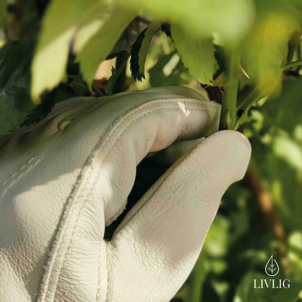 LIVLIG GARTENHANDSCHUHE AUS LEDER