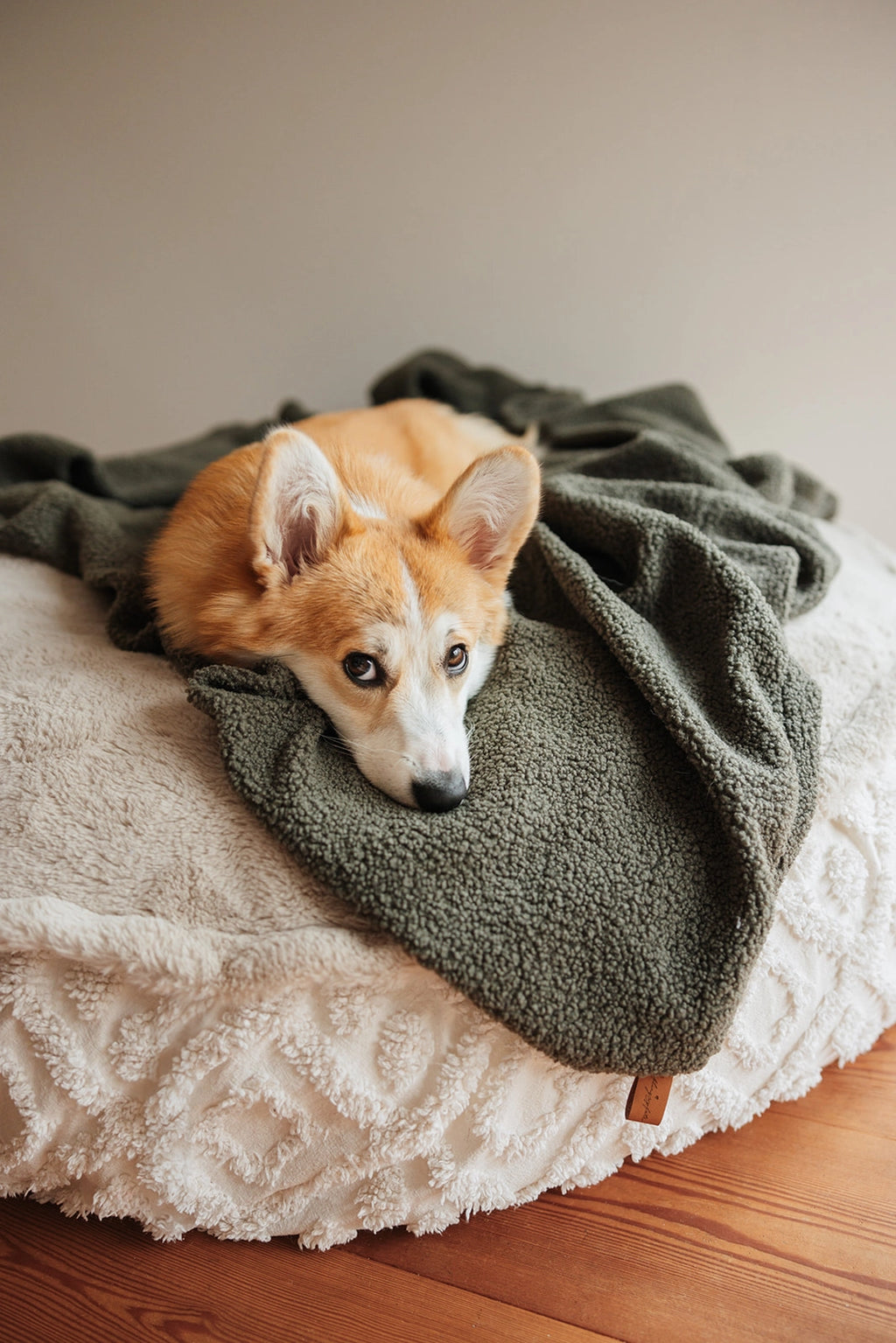 OVERSIZE HUNDEDECKE (OLIVE)