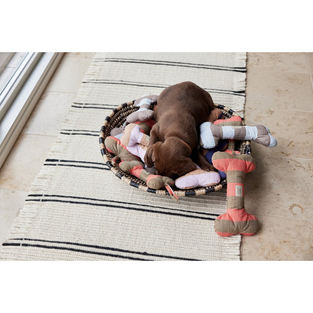 ASHI HUNDESPIELZEUG (BLAU/BRAUN)