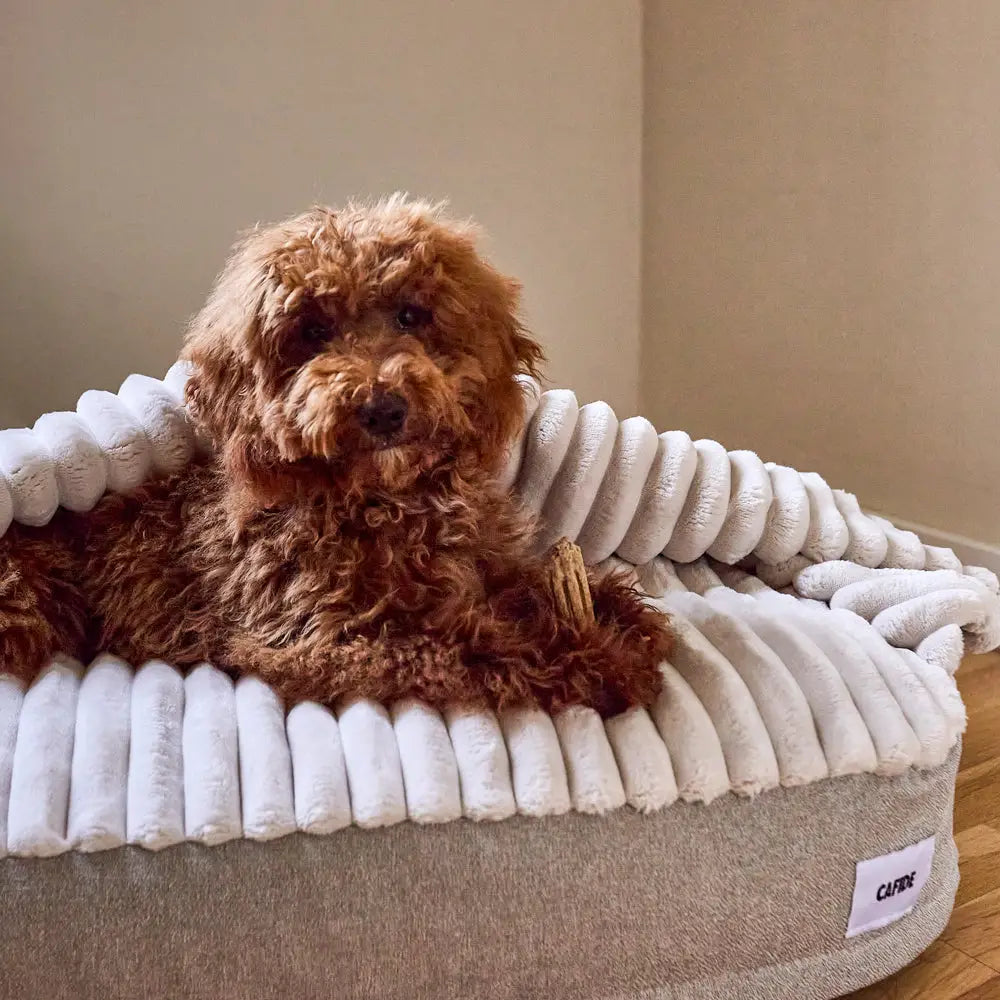 MASO HUNDEBETT MIT KAPUZE (BEIGE)