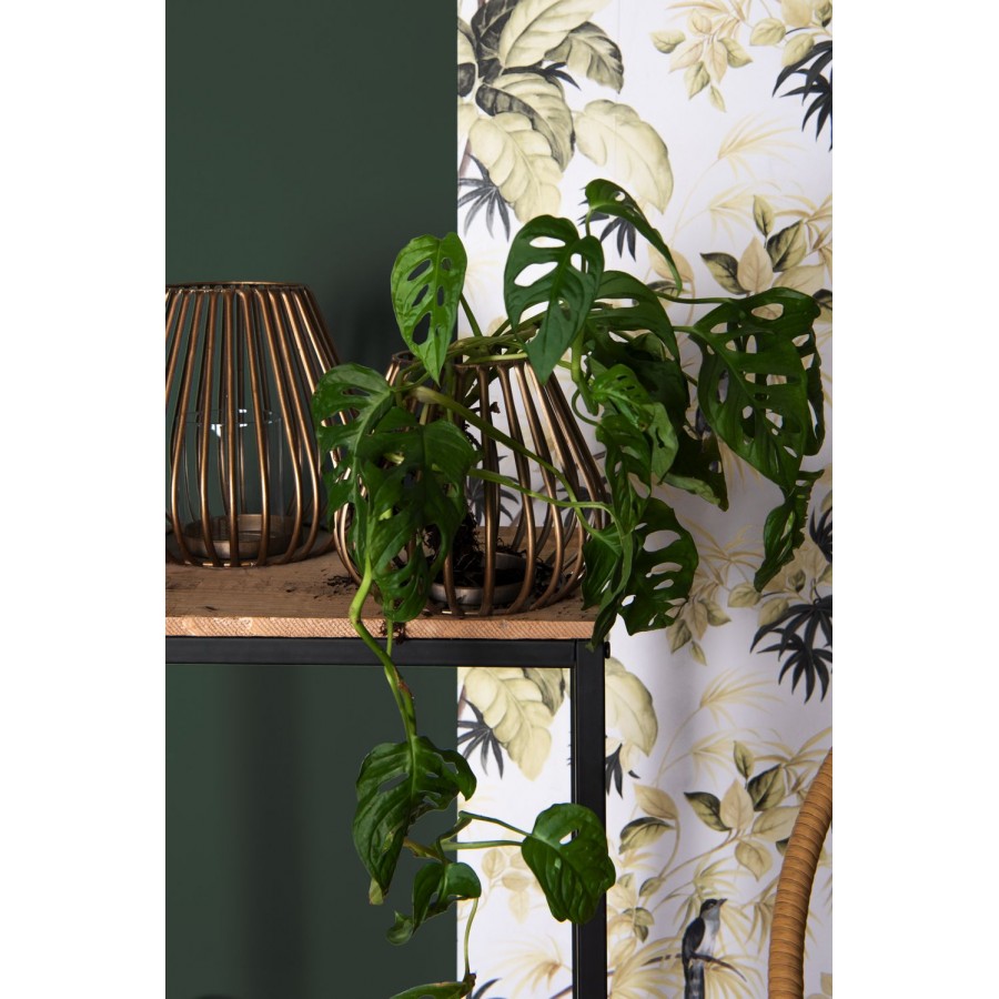 WINDLICHT GOLD - Ø 22cm