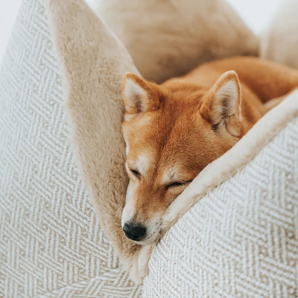 FLUM DREAMY HANDGEFERTIGTES HUNDEKISSEN