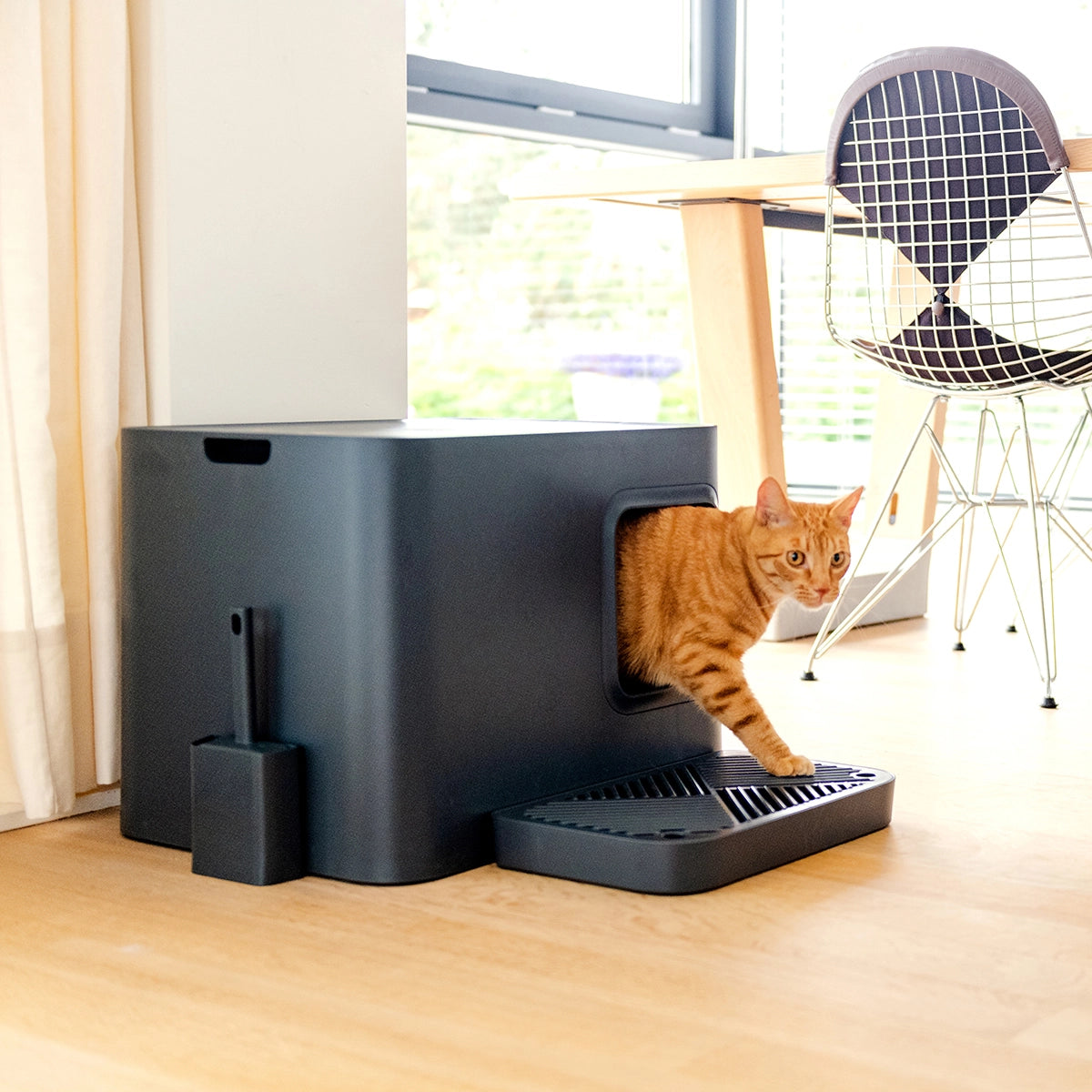 KATZENTOILETTE DOME PLUS