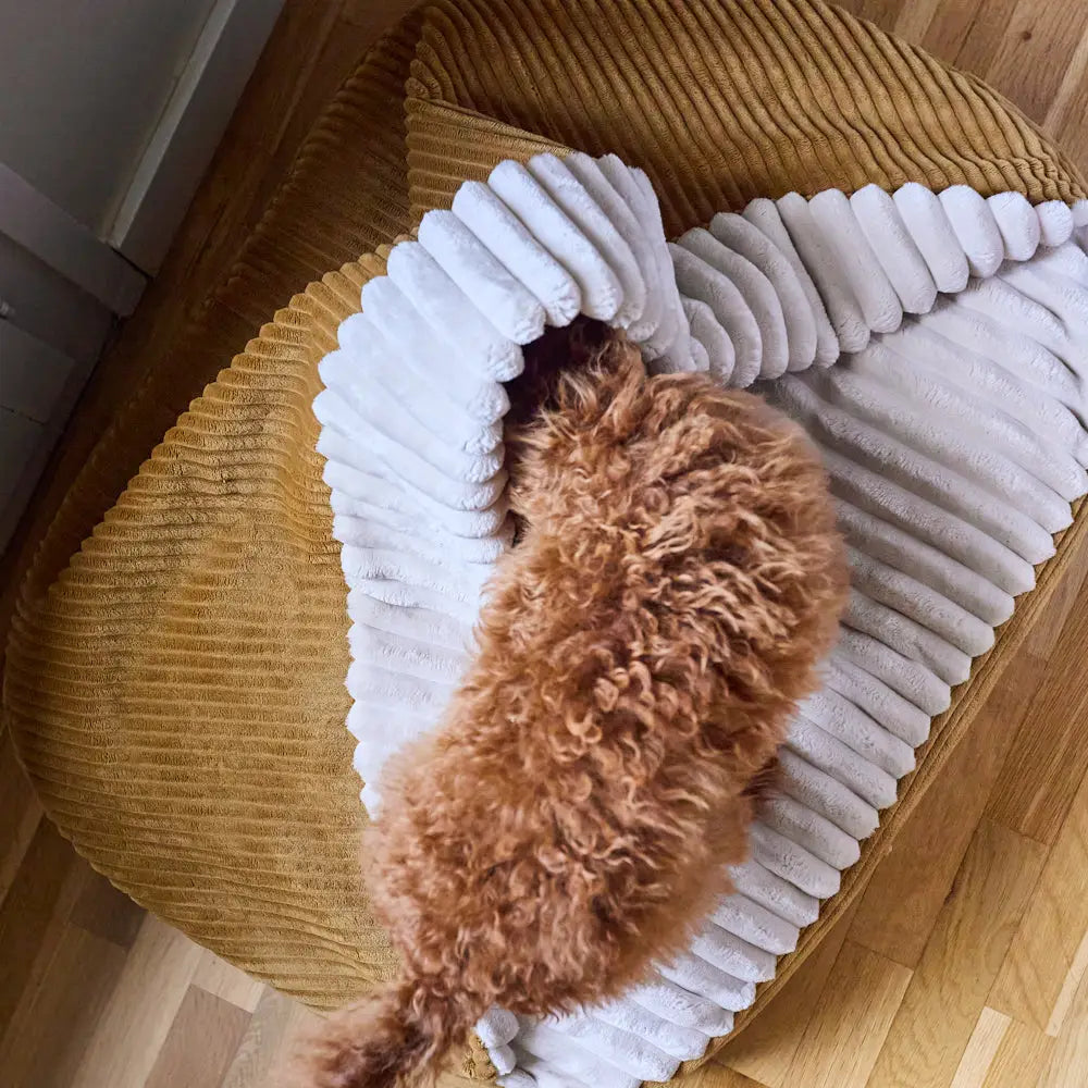 MASO HUNDEBETT MIT KAPUZE (SENF)