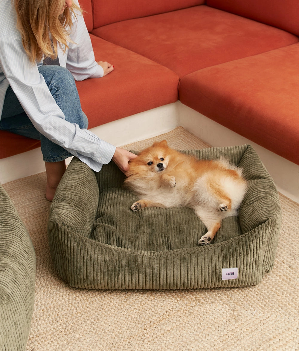 SNOZY HUNDEBETT AUS CORD (GRÜN)
