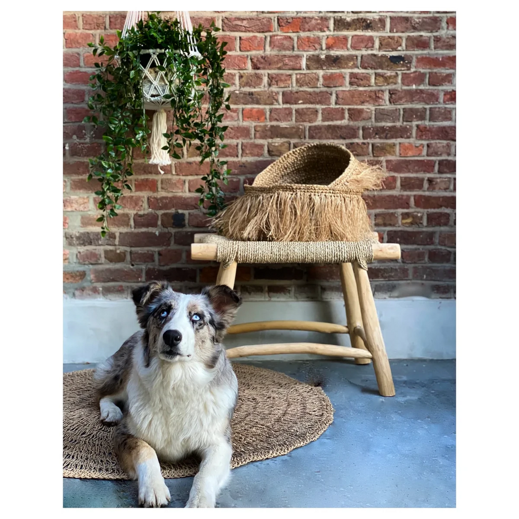 MAKRAMEE PFLANZENHALTER (WEIẞ)