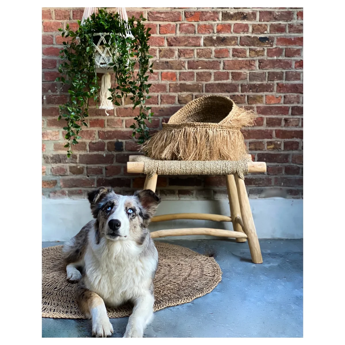 MAKRAMEE PFLANZENHALTER (WEIẞ)