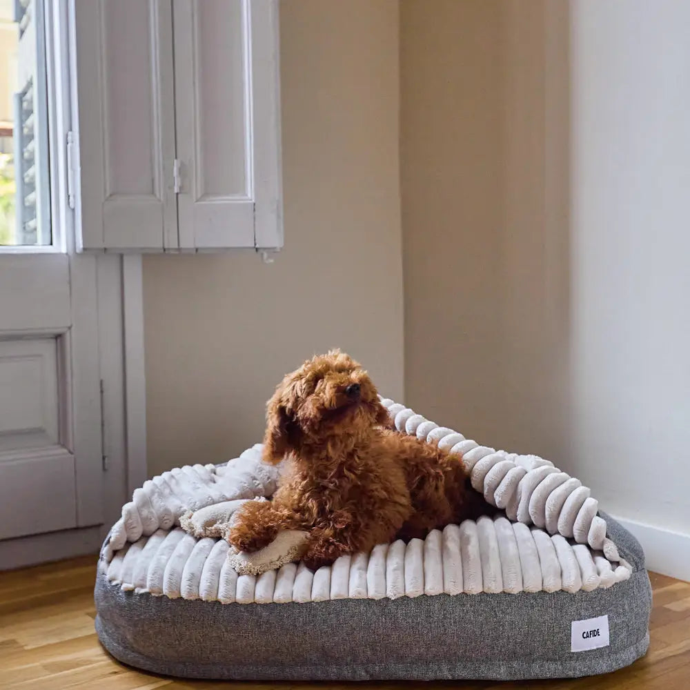 MASO HUNDEBETT MIT KAPUZE (GRAU)