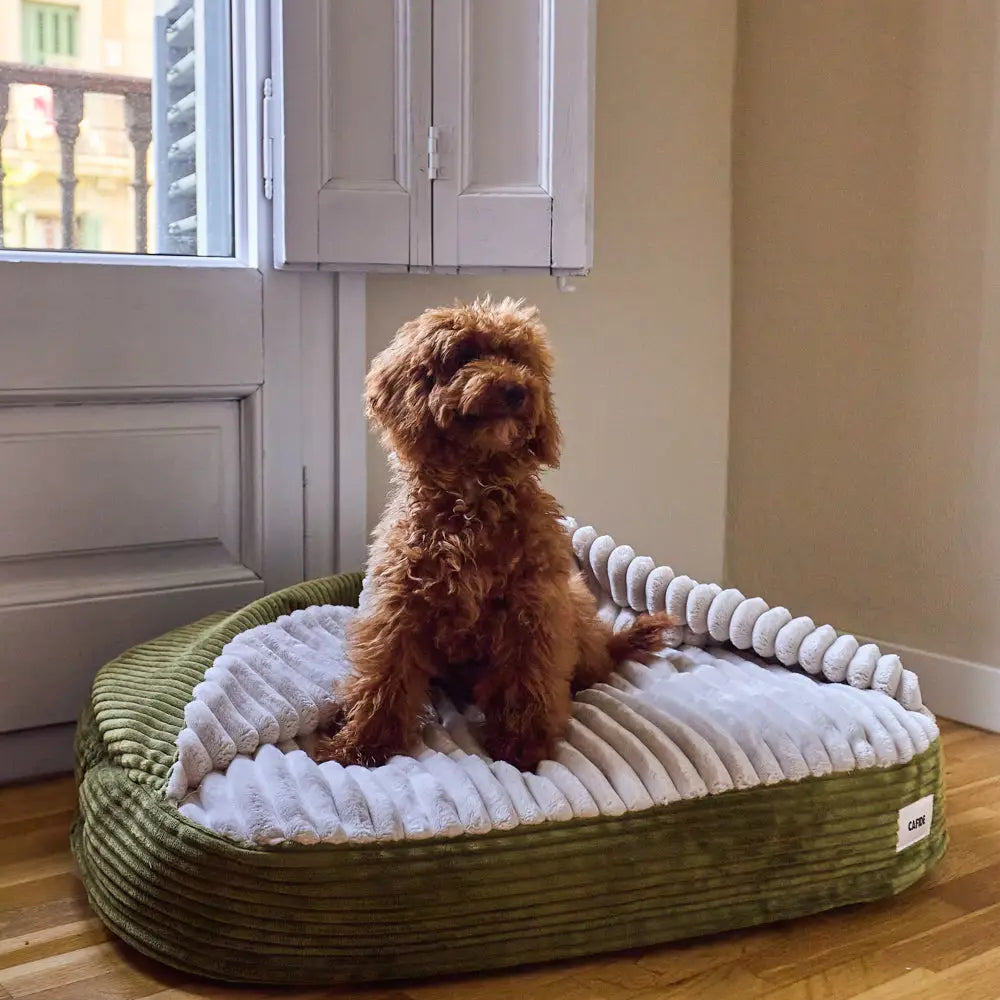 MASO HUNDEBETT MIT KAPUZE (GRÜN)