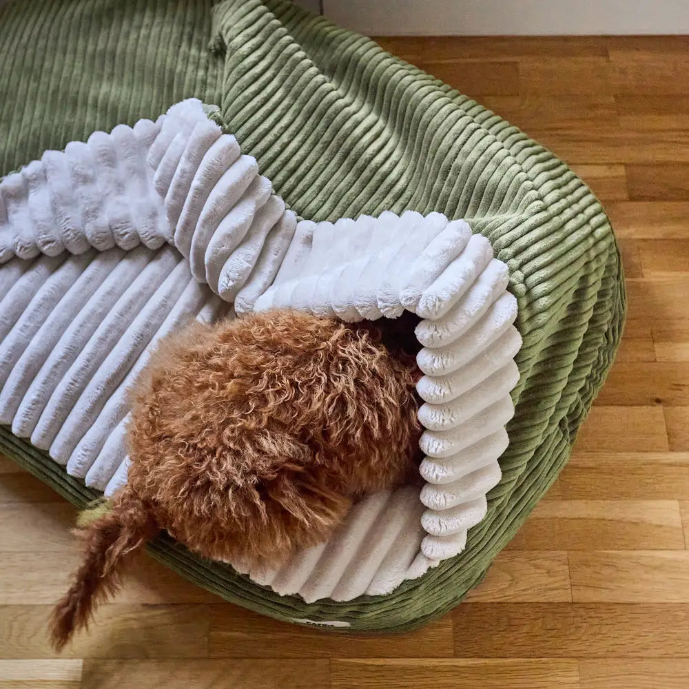 MASO HUNDEBETT MIT KAPUZE (GRÜN)