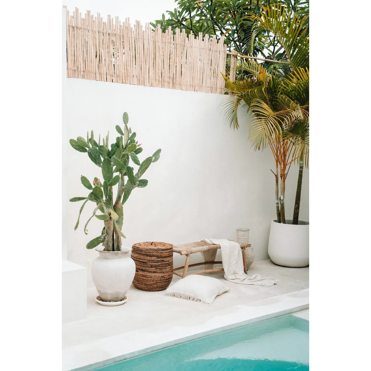 PORTO SEEGRASBANK - 110cm