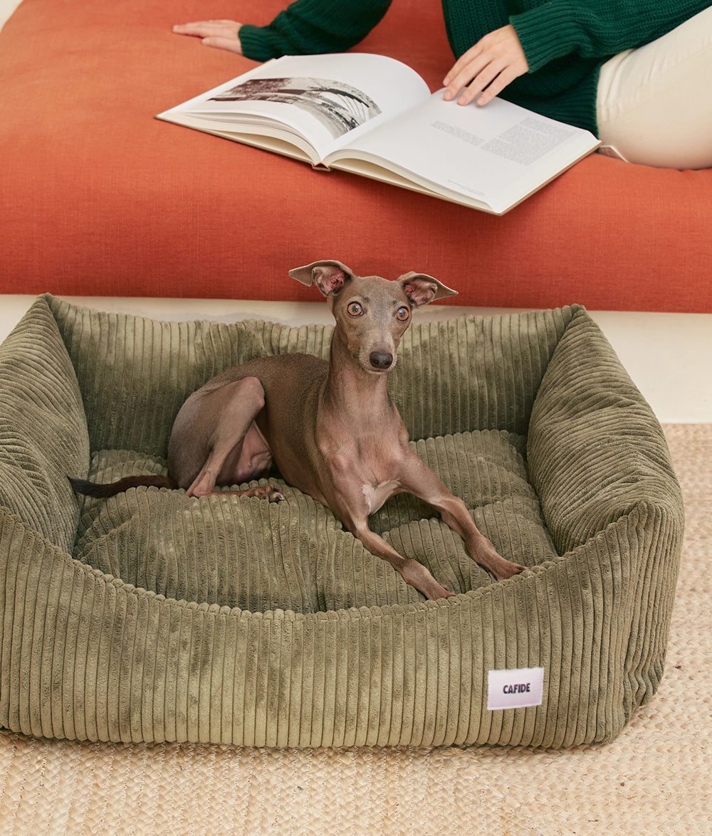 SNOZY HUNDEBETT AUS CORD (GRÜN)