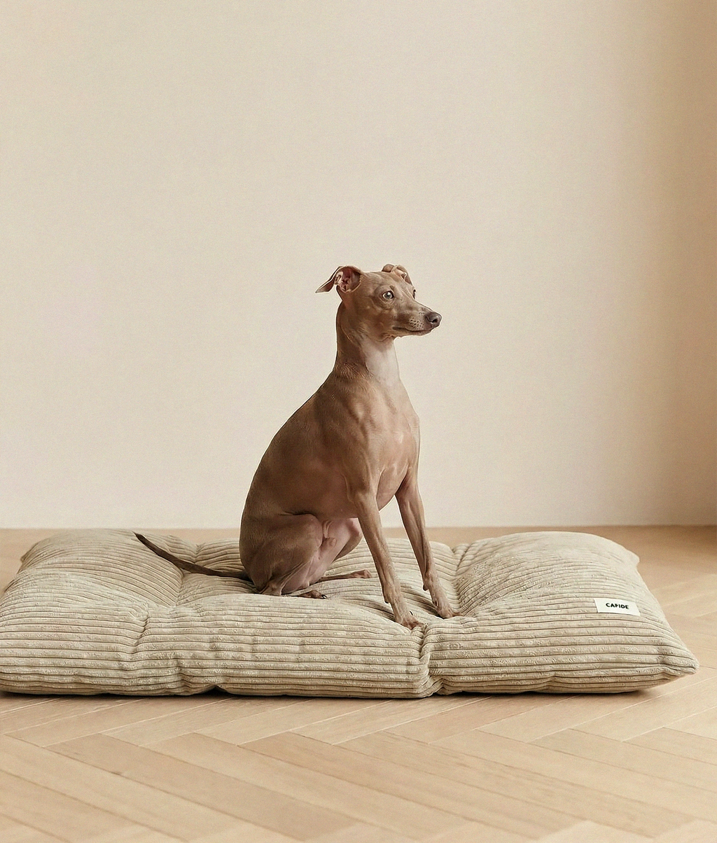 BELA HUNDEKISSEN CORD (BEIGE)