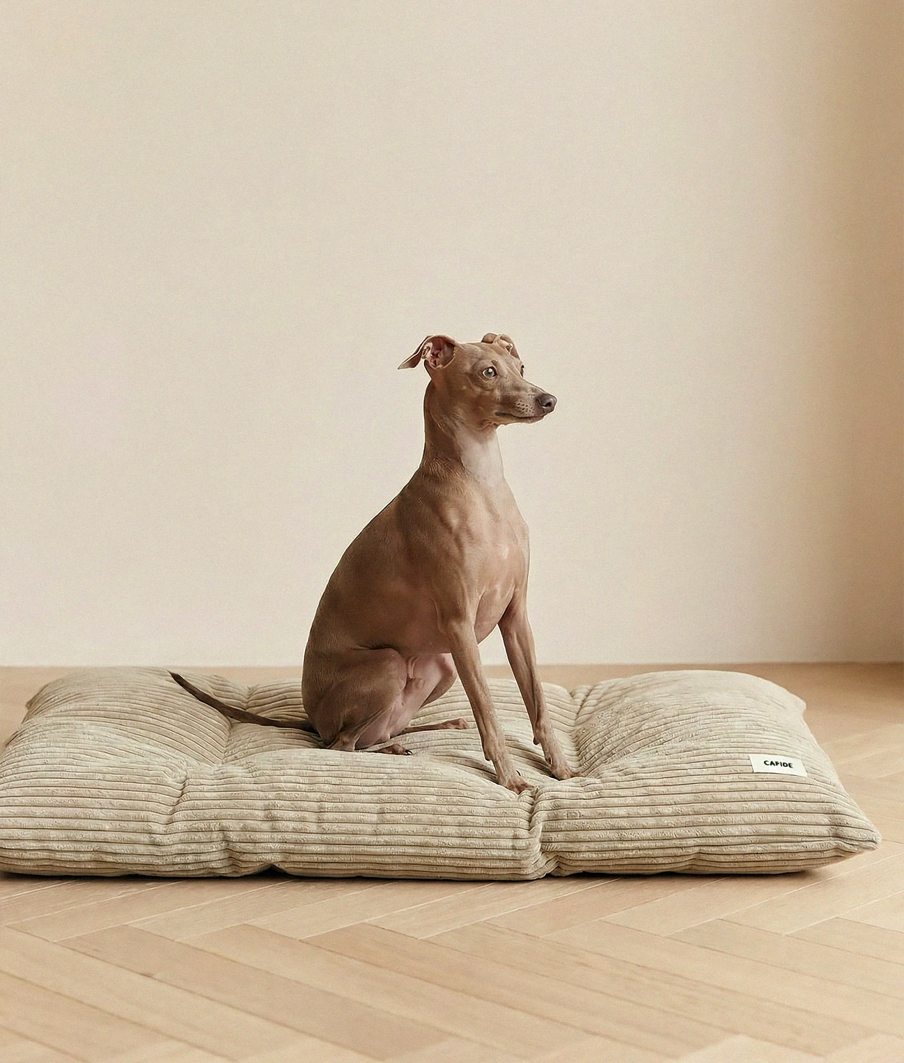 BELA HUNDEKISSEN CORD (BEIGE)