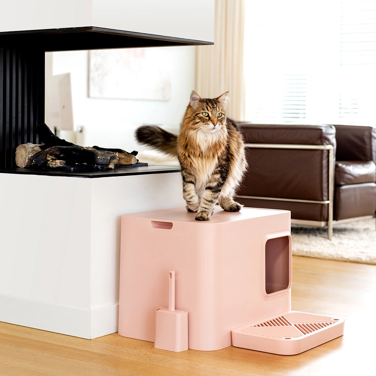 KATZENTOILETTE DOME PLUS
