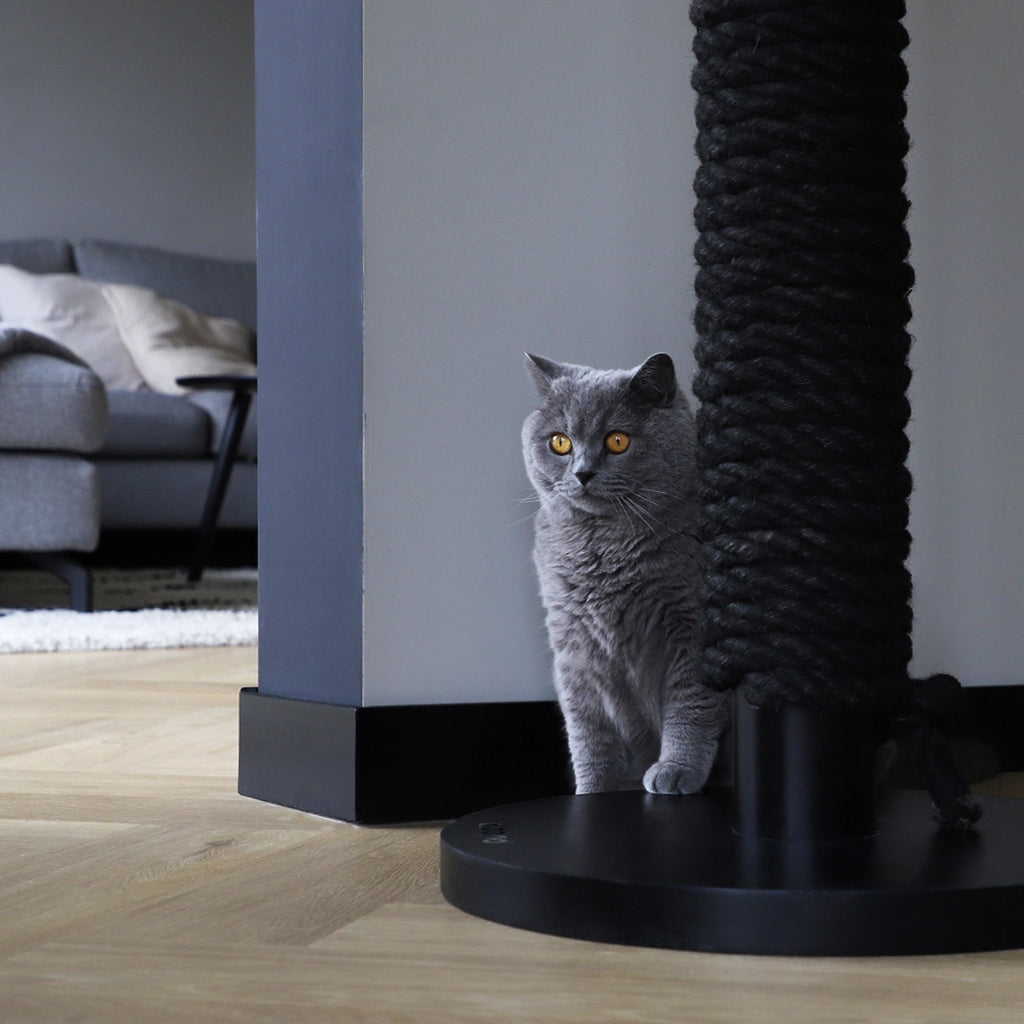 KATZEN KRATZBAUM TOTEM