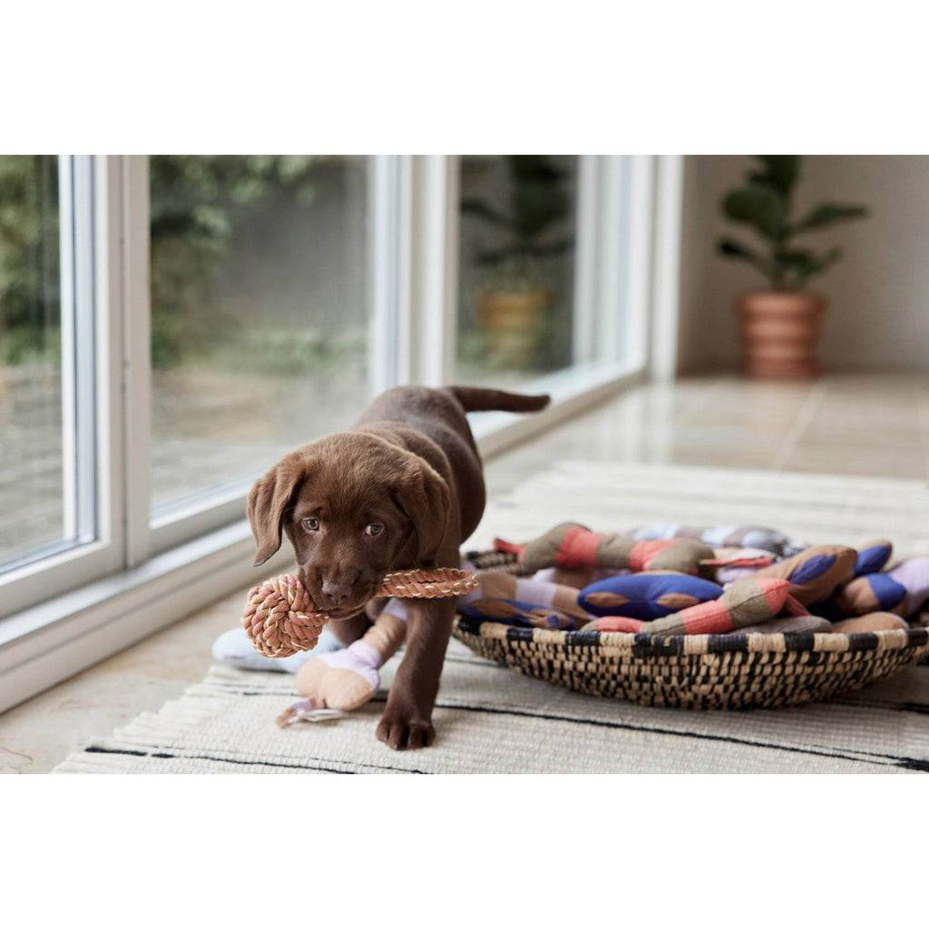 ASHI HUNDESPIELZEUG (BRAUN/APRICOT)