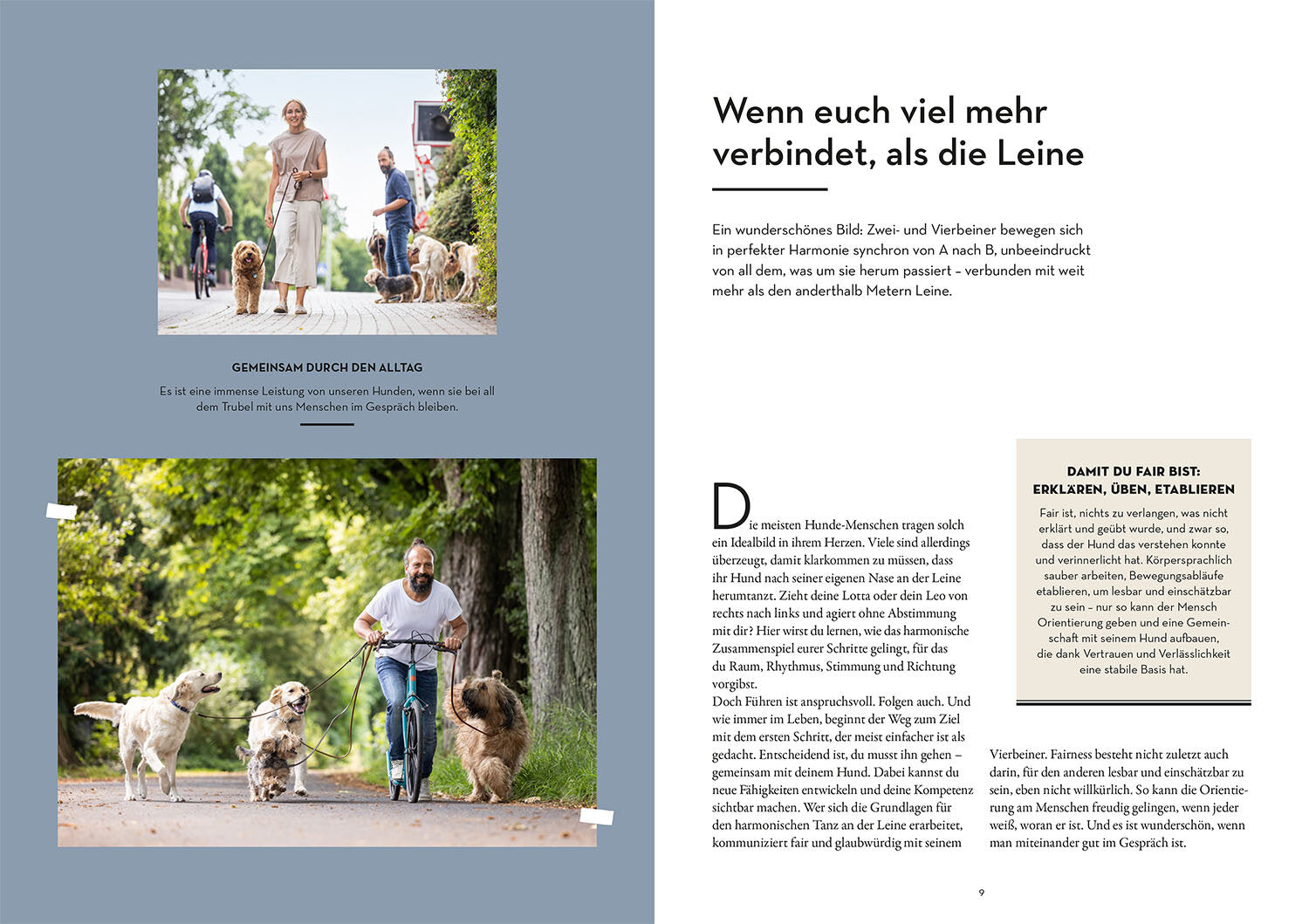 BUCH | LEINENFÜHRIGKEIT