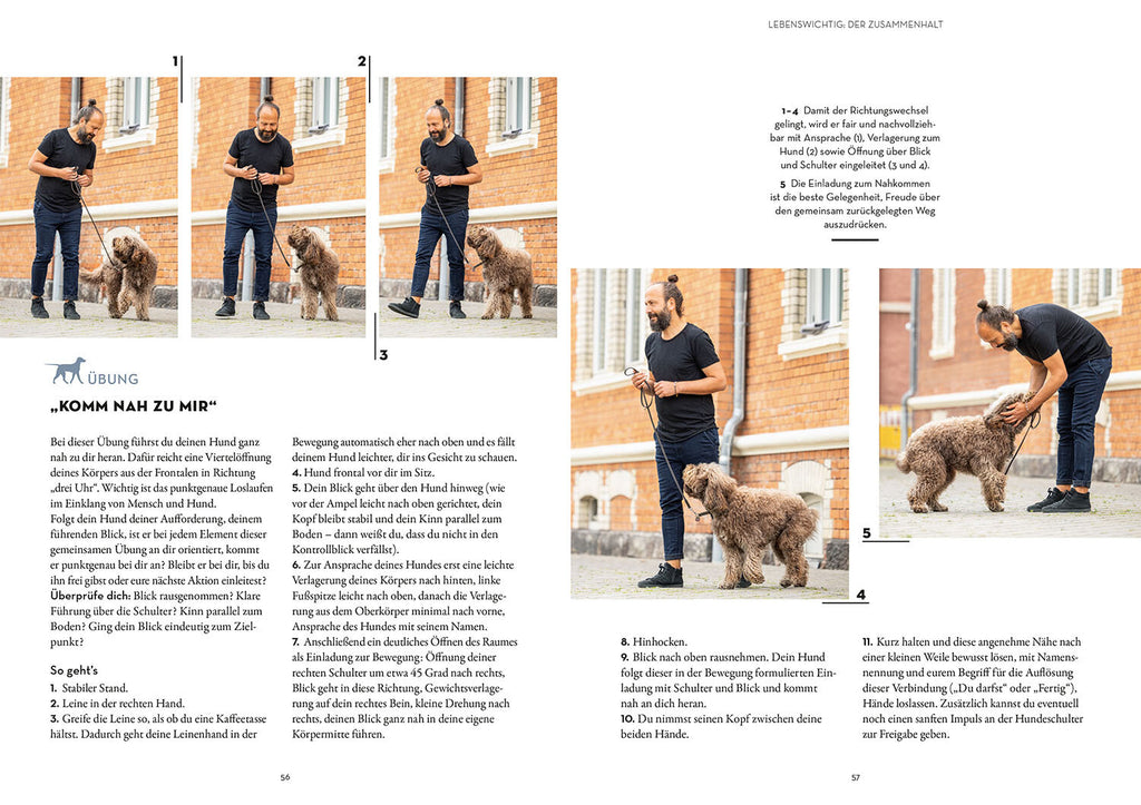 BUCH | LEINENFÜHRIGKEIT