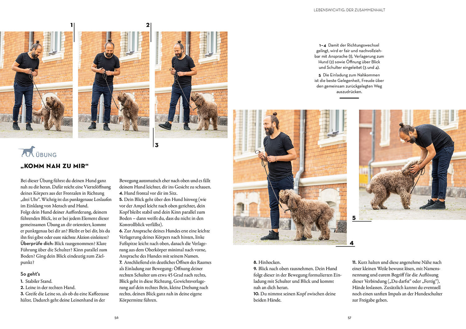 BUCH | LEINENFÜHRIGKEIT