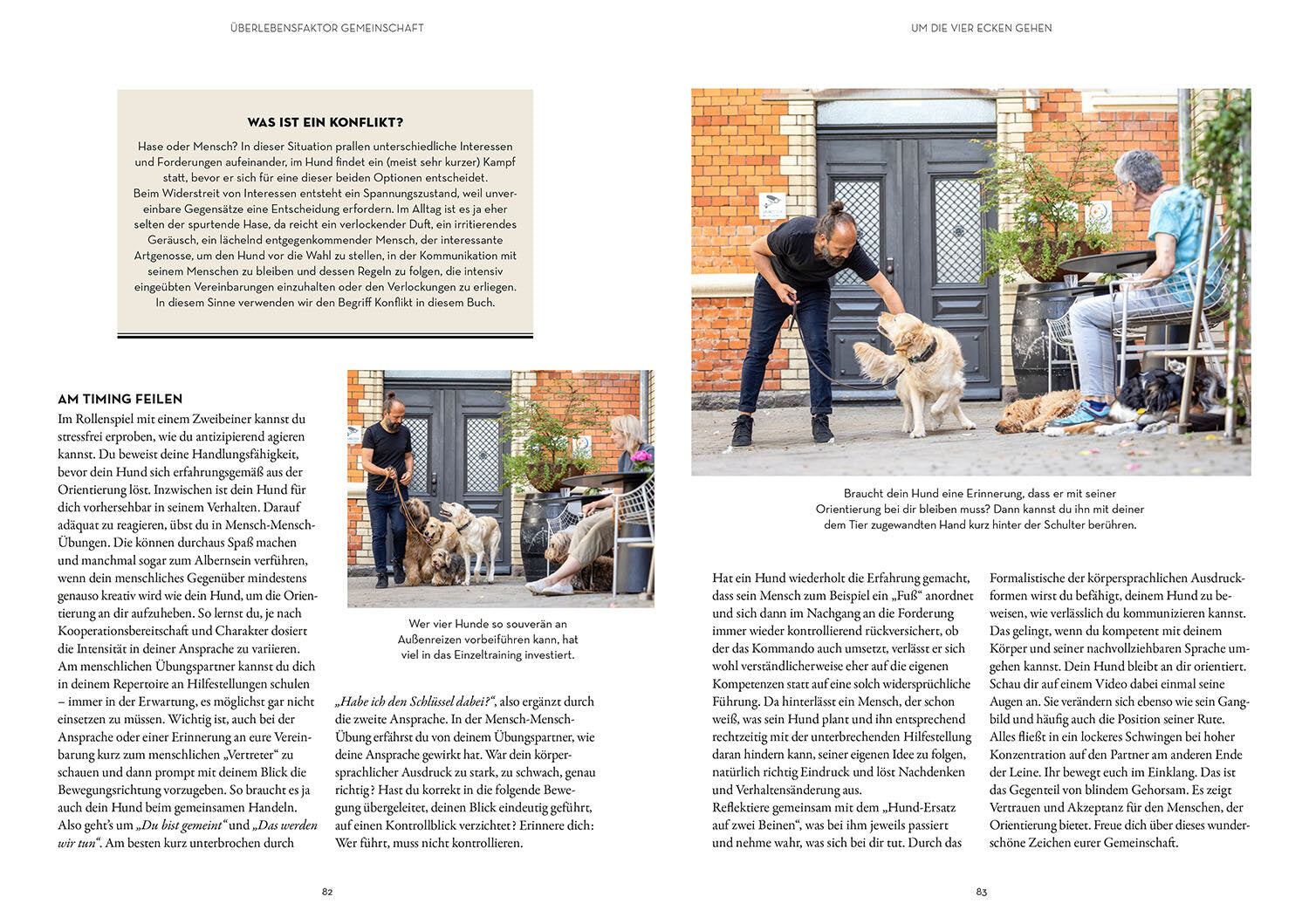 BUCH | LEINENFÜHRIGKEIT