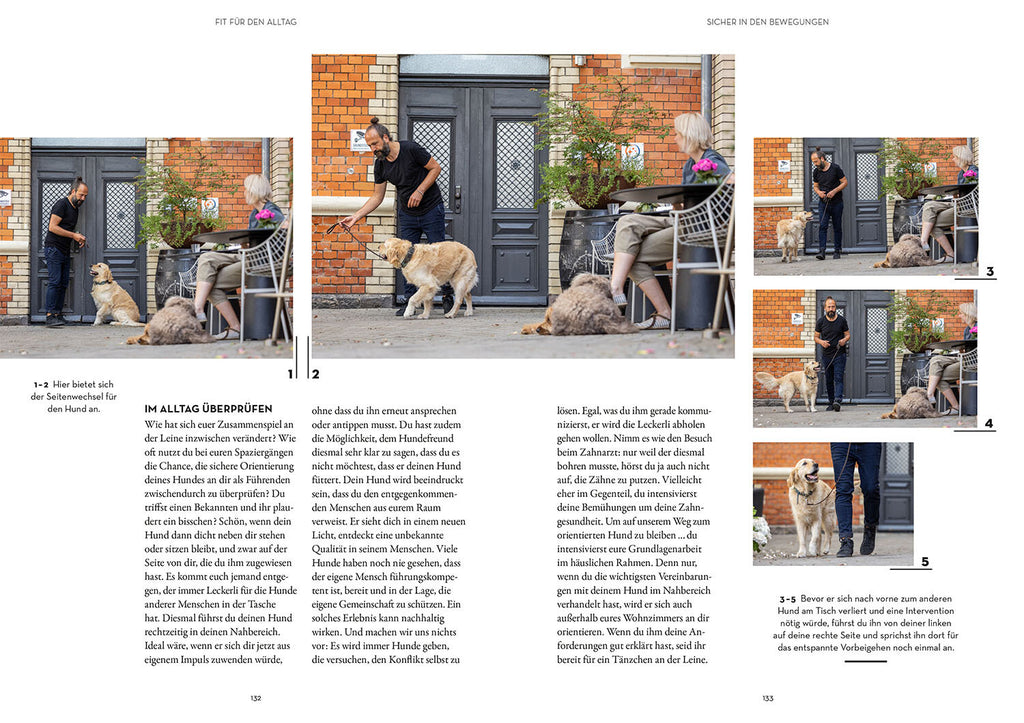 BUCH | LEINENFÜHRIGKEIT