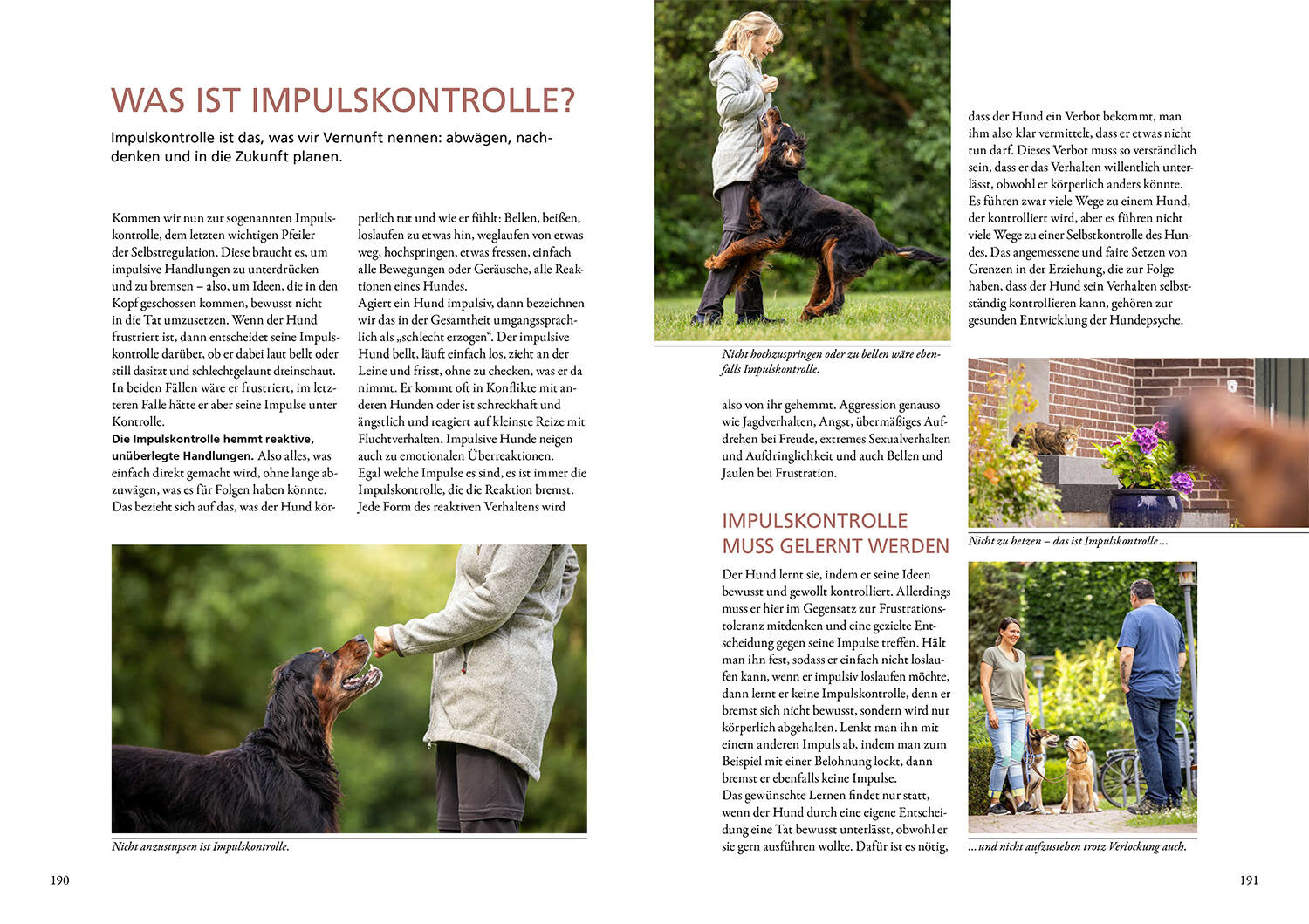 BUCH | FRUST LASS NACH!