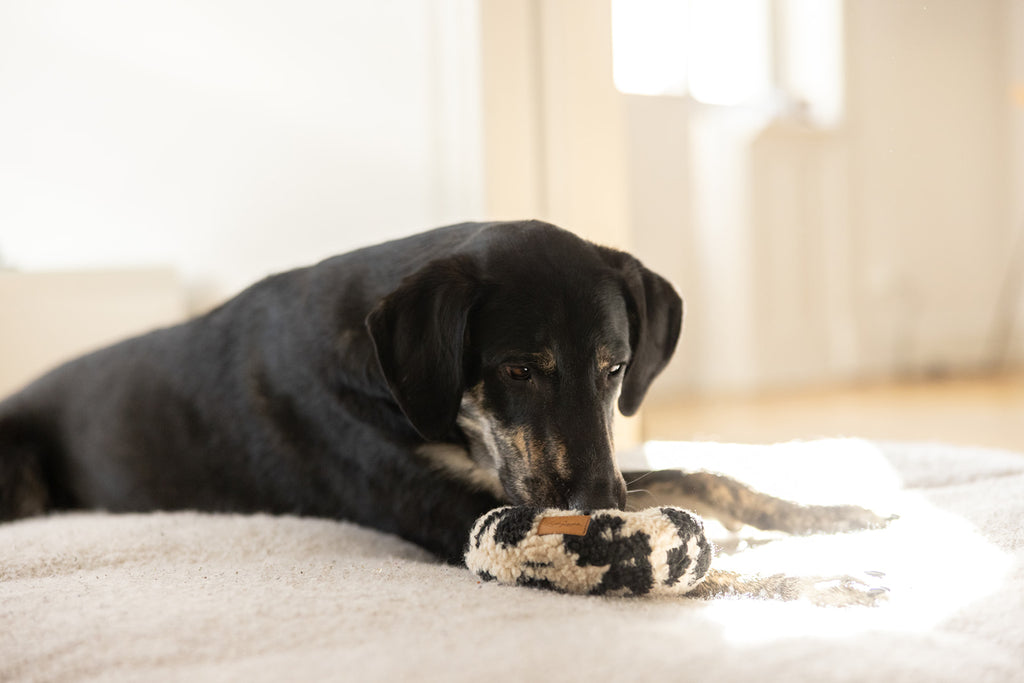 HUNDESPIELZEUG DONUT