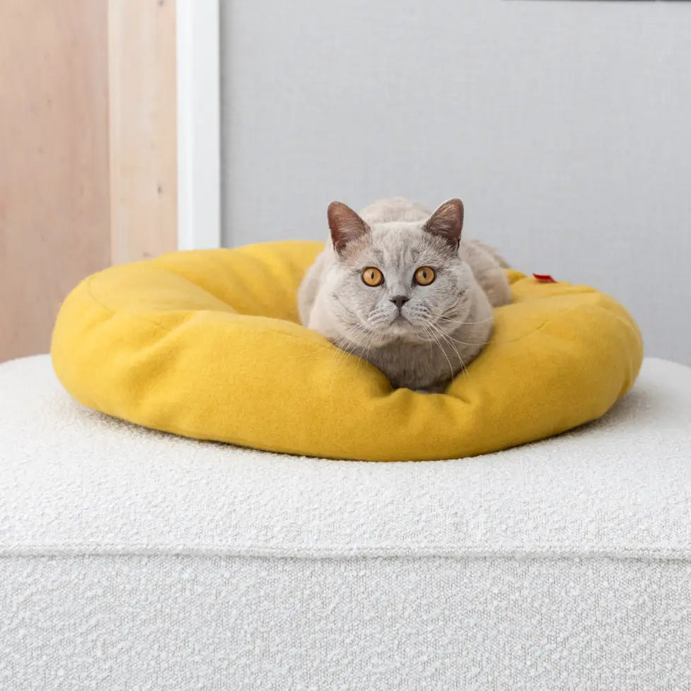 KATZEN SCHLAFDONUT (GELB)