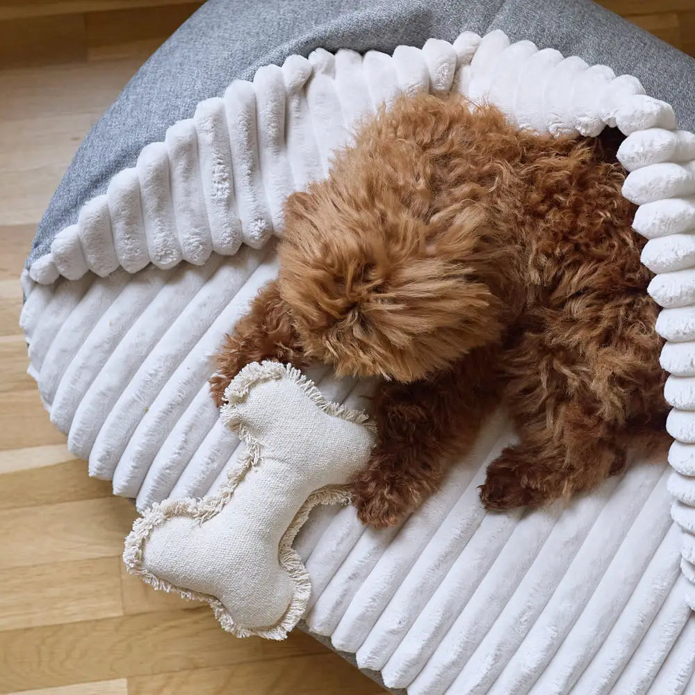 MASO HUNDEBETT MIT KAPUZE (GRAU)